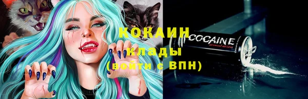 соль ск Алзамай