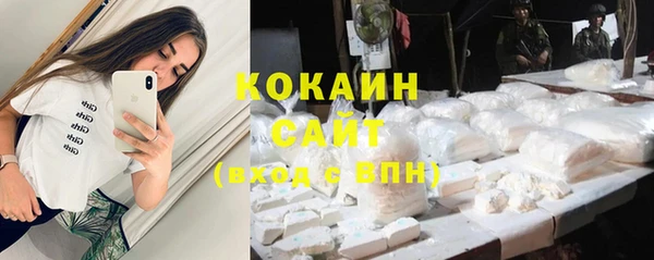 шишки Абаза