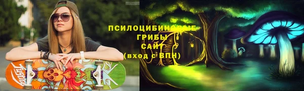 ПСИЛОЦИБИНОВЫЕ ГРИБЫ Абдулино