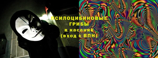 шишки Абаза