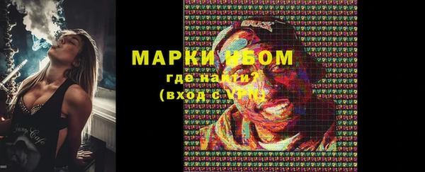 шишки Абаза
