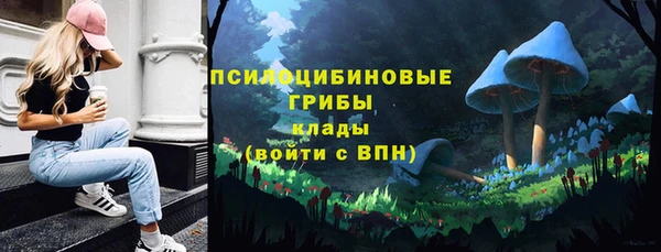 ПСИЛОЦИБИНОВЫЕ ГРИБЫ Абдулино