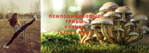 ПСИЛОЦИБИНОВЫЕ ГРИБЫ Абдулино