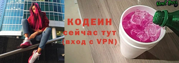 шишки Абаза