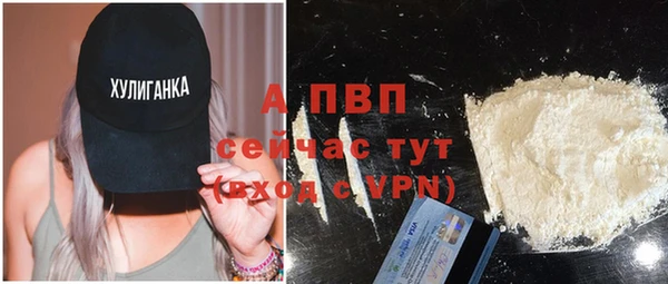 шишки Абаза