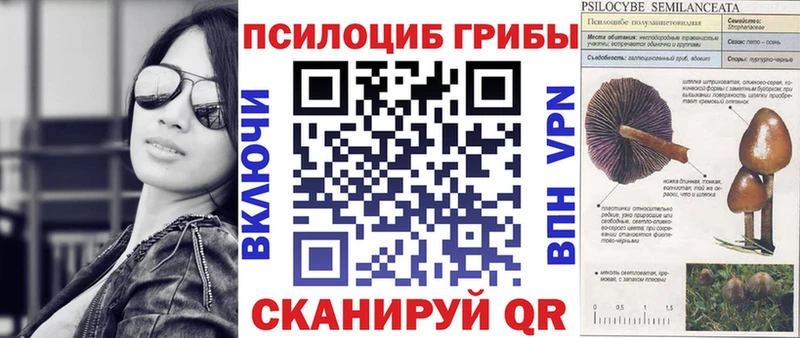 Псилоцибиновые грибы ЛСД Октябрьский