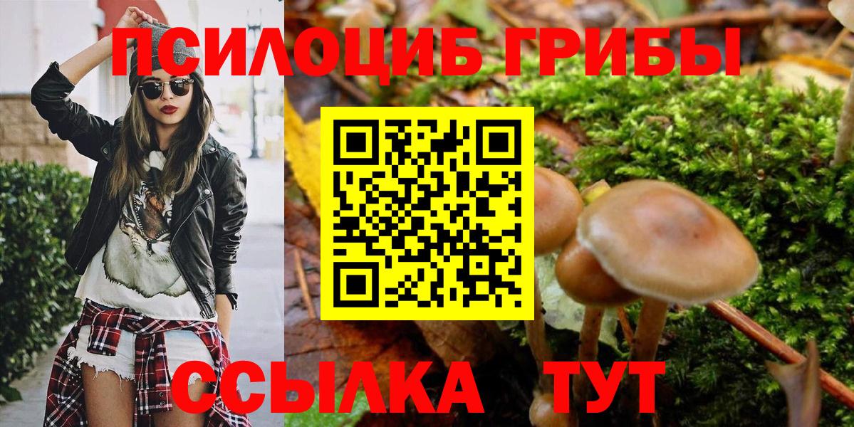 Галлюциногенные грибы мухоморы Октябрьский