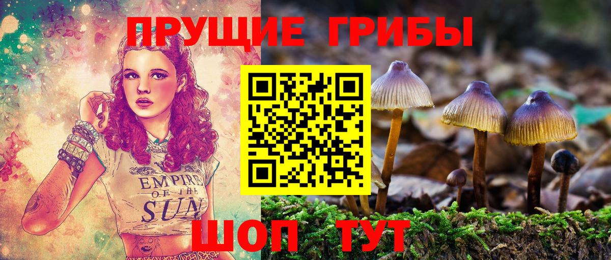 Псилоцибиновые грибы MAGIC MUSHROOMS  Вход с VPN  Октябрьский 